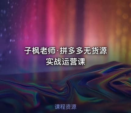 子枫老师·拼多多无货源实战运营课