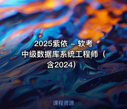 2025紫依 - 软考中级数据库系统工程师（含2024）