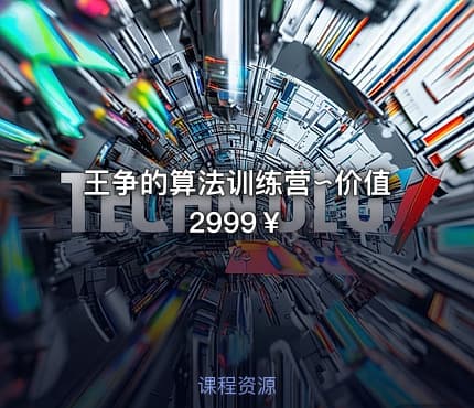 王争的算法训练营∽价值2999￥