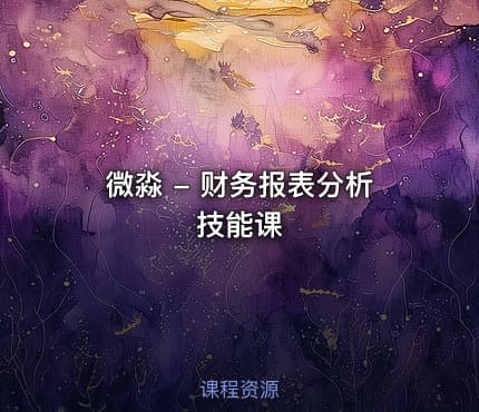 微淼 - 财务报表分析技能课