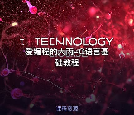 爱编程的大丙-C语言基础教程