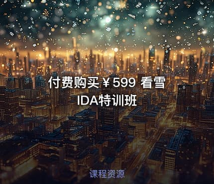 付费购买￥599 看雪 IDA特训班