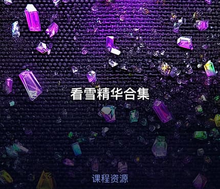 看雪精华合集