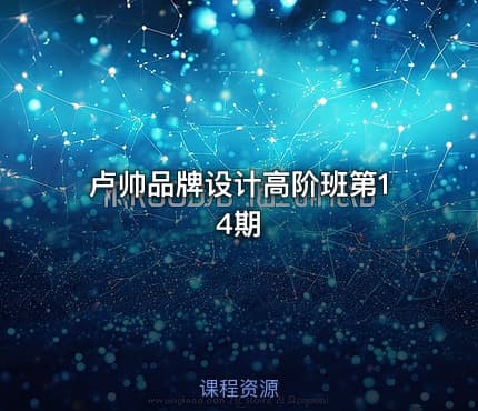 卢帅品牌设计高阶班第14期