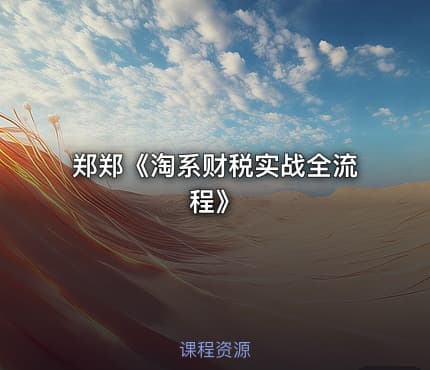 郑郑《淘系财税实战全流程》