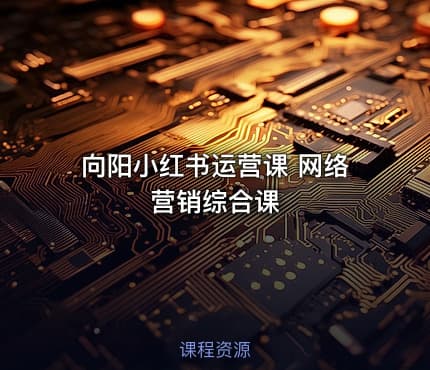 向阳小红书运营课 网络营销综合课