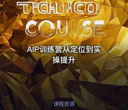 AIP训练营从定位到实操提升