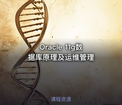 Oracle 11g数据库原理及运维管理