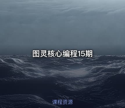 图灵核心编程15期