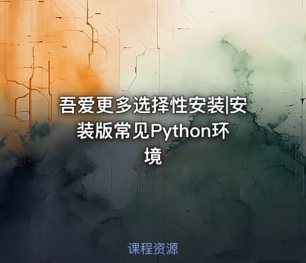 吾爱更多选择性安装|安装版常见Python环境