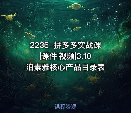 2235-拼多多实战课|课件|视频|3.10泊素雅核心产品目录表