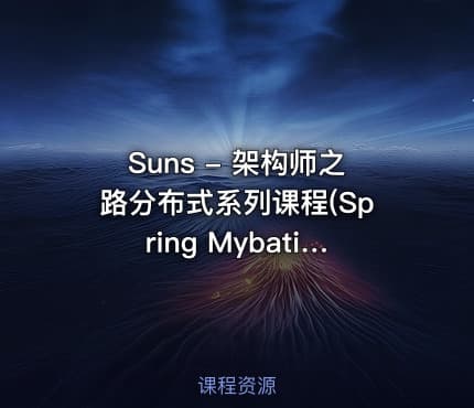 Suns - 架构师之路分布式系列课程(Spring Mybatis Netty RPC) 价值数千元