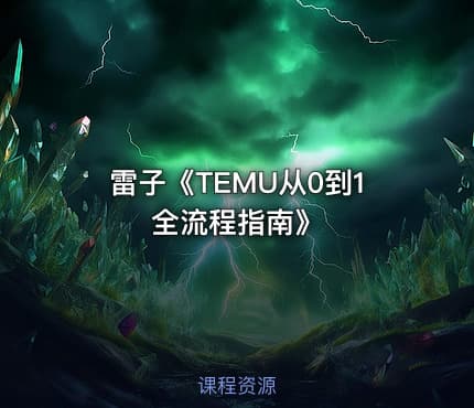 雷子《TEMU从0到1全流程指南》