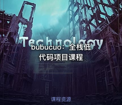 bubucuo：全栈低代码项目课程