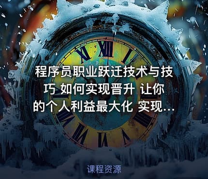 程序员职业跃迁技术与技巧 如何实现晋升 让你的个人利益最大化 实现职业发展跃迁
