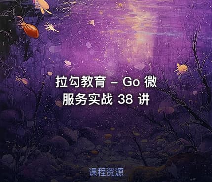拉勾教育 - Go 微服务实战 38 讲