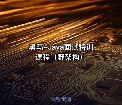 黑马-Java面试特训课程（野架构）