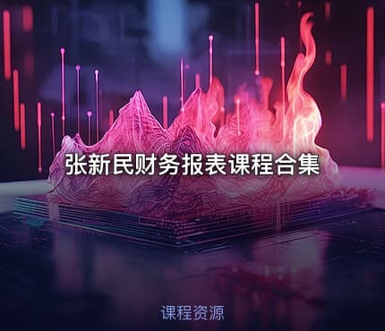 张新民财务报表课程合集