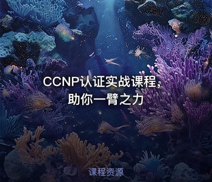 CCNP认证实战课程，助你一臂之力