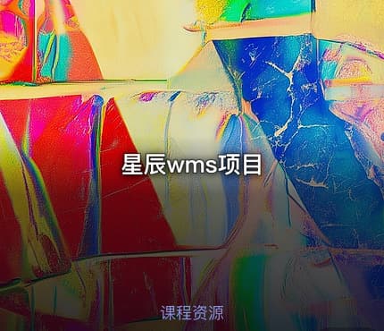 星辰wms项目