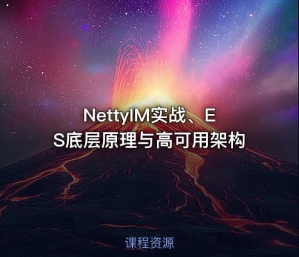 NettyIM实战、ES底层原理与高可用架构