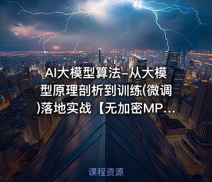 AI大模型算法-从大模型原理剖析到训练(微调)落地实战【无加密MP4版 】完整21章