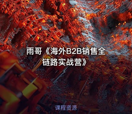 雨哥《海外B2B销售全链路实战营》