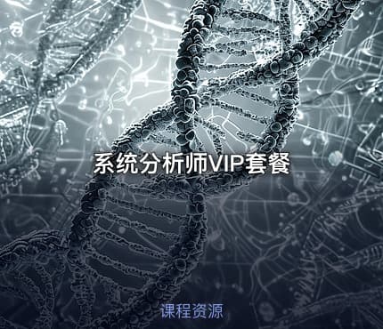 系统分析师VIP套餐