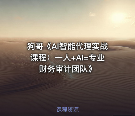 狗哥《AI智能代理实战课程：一人+AI=专业财务审计团队》