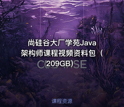 尚硅谷大厂学苑Java架构师课程视频资料包（209GB）