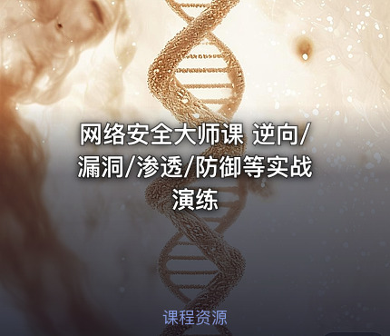 网络安全大师课 逆向/漏洞/渗透/防御等实战演练