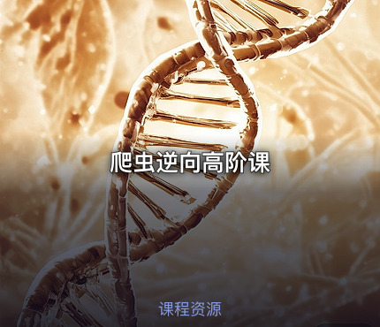 爬虫逆向高阶课