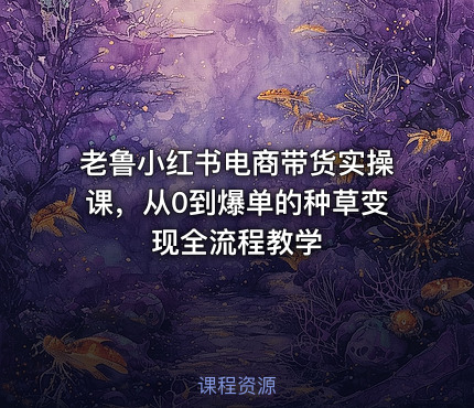 老鲁小红书电商带货实操课，从0到爆单的种草变现全流程教学