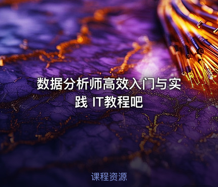 数据分析师高效入门与实践 IT教程吧 - IT网课学习吧