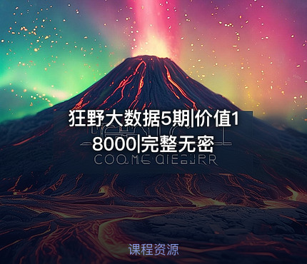 狂野大数据5期|价值18000|完整无密