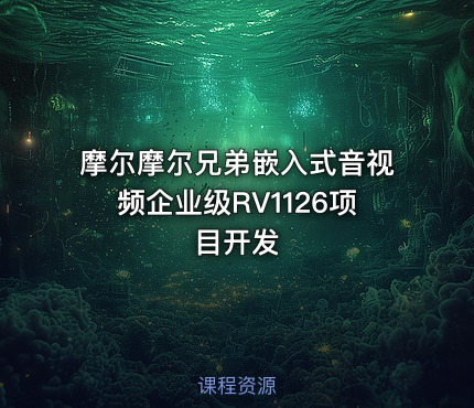 摩尔摩尔兄弟嵌入式音视频企业级RV1126项目开发