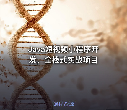 Java短视频小程序开发，全栈式实战项目