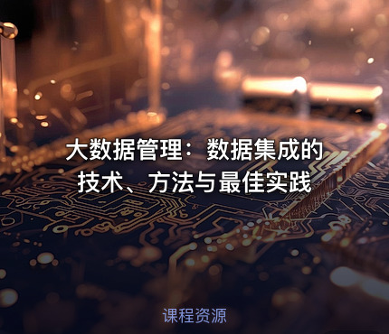 大数据管理：数据集成的技术、方法与最佳实践