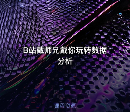 B站戴师兄戴你玩转数据分析