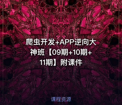 爬虫开发+APP逆向大神班【09期+10期+11期】附课件