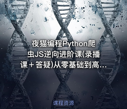 夜猫编程Python爬虫JS逆向进阶课(录播课＋答疑)从零基础到高薪就业编程课
