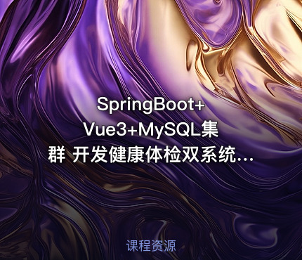 SpringBoot+Vue3+MySQL集群 开发健康体检双系统|完整23章