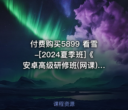 付费购买5899 看雪-[2024夏季班]《安卓高级研修班(网课)》月薪两万计划（2024.11.16更新）