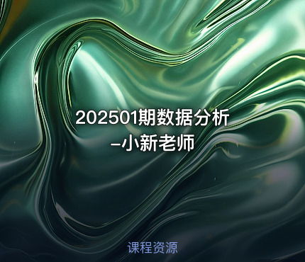 202501期数据分析-小新老师