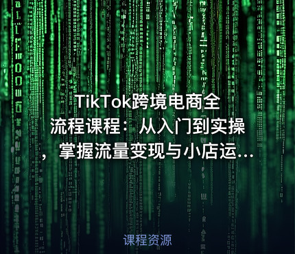 TikTok跨境电商全流程课程：从入门到实操，掌握流量变现与小店运营