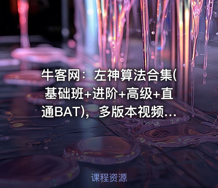 牛客网：左神算法合集(基础班+进阶+高级+直通BAT)，多版本视频及源码下载 价值1999元(内容更新)