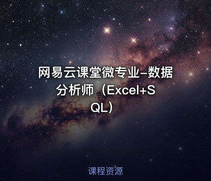 网易云课堂微专业-数据分析师（Excel+SQL）