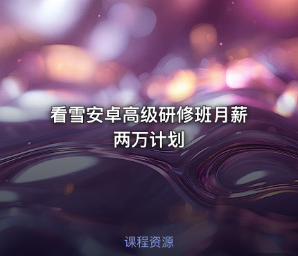 看雪安卓高级研修班月薪两万计划