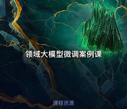 领域大模型微调案例课