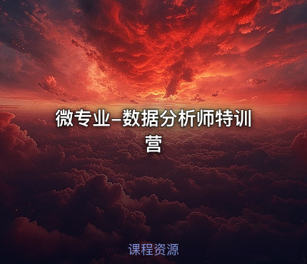 微专业-数据分析师特训营